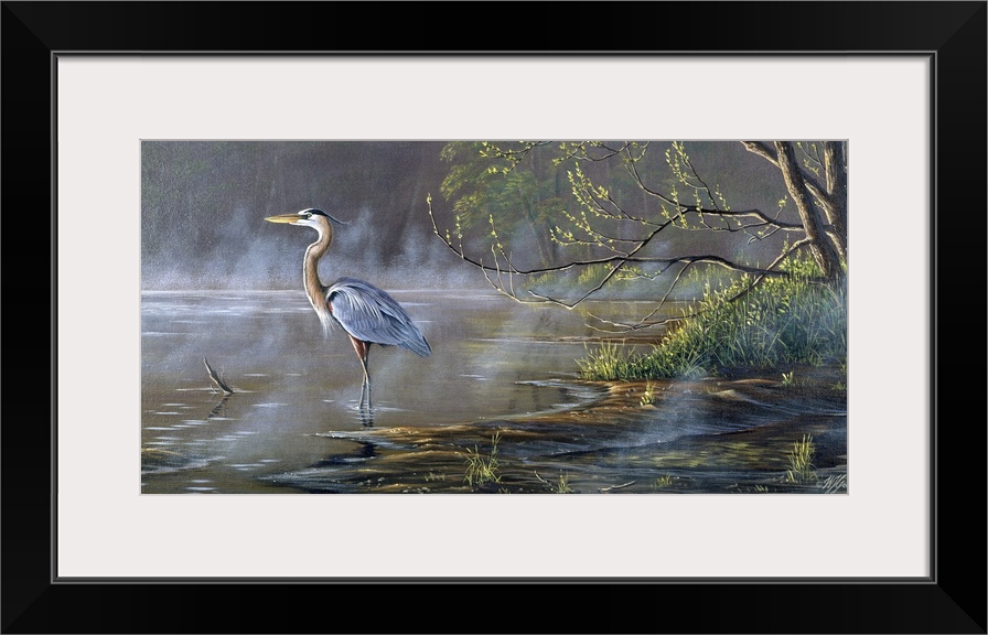 Great blue heron in a pond.