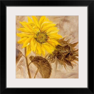 Sunflower I