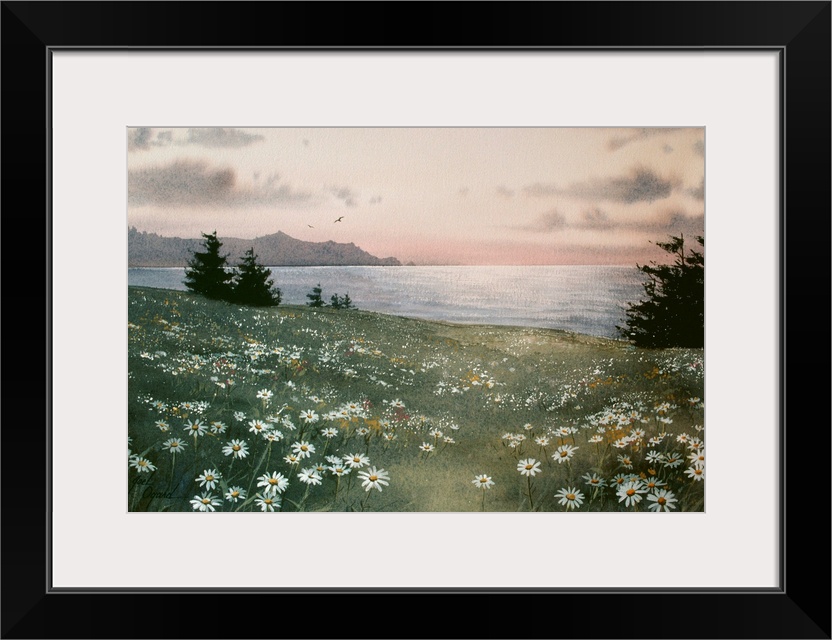 A field of wildflowers in sunlight.