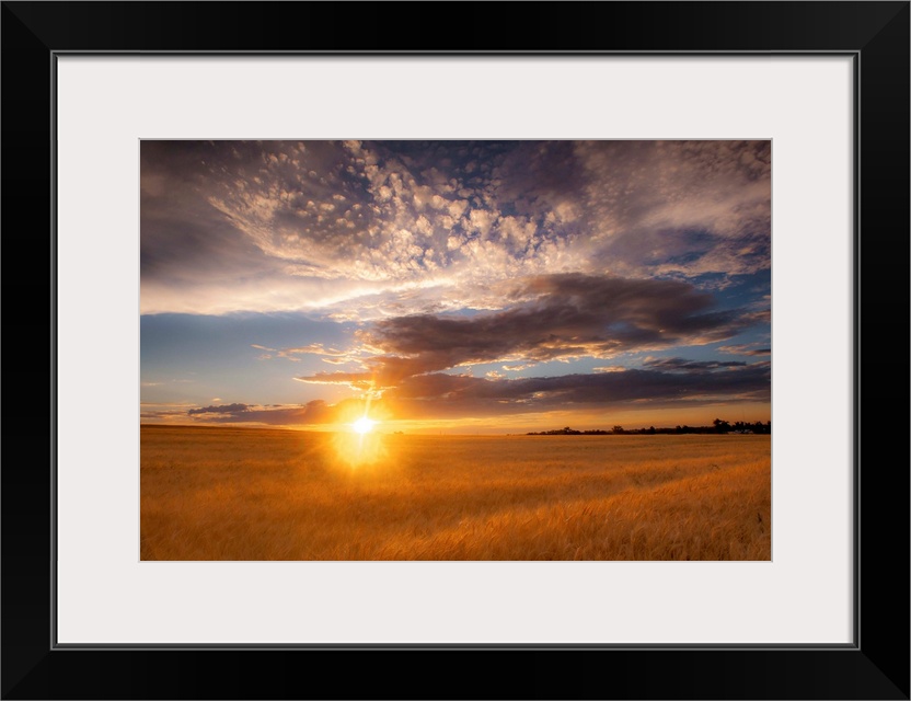 Landscape photograph of a field with the sun rising right on the horizon line and patterned clouds in the sky.