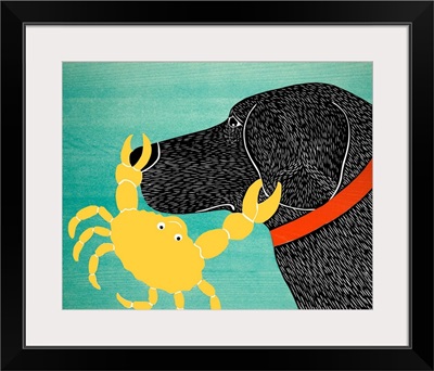 The Crab Black Dog Yellow Crab