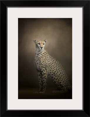 The Elegant Cheetah