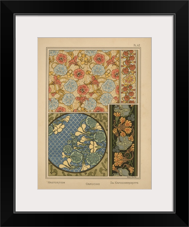 La Plante et ses applications ornementales, Eugene Grasset, Plate 42 - Nastortium