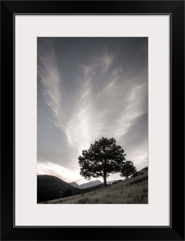 Black and white muted photograph of a tree on the side of a hill.