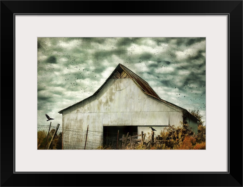 Fine art photo of a barn under stormy skies with crows flying by.