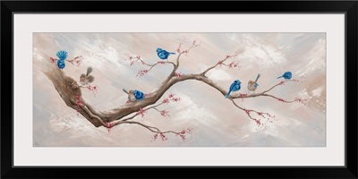 Fairy Wren Ventures