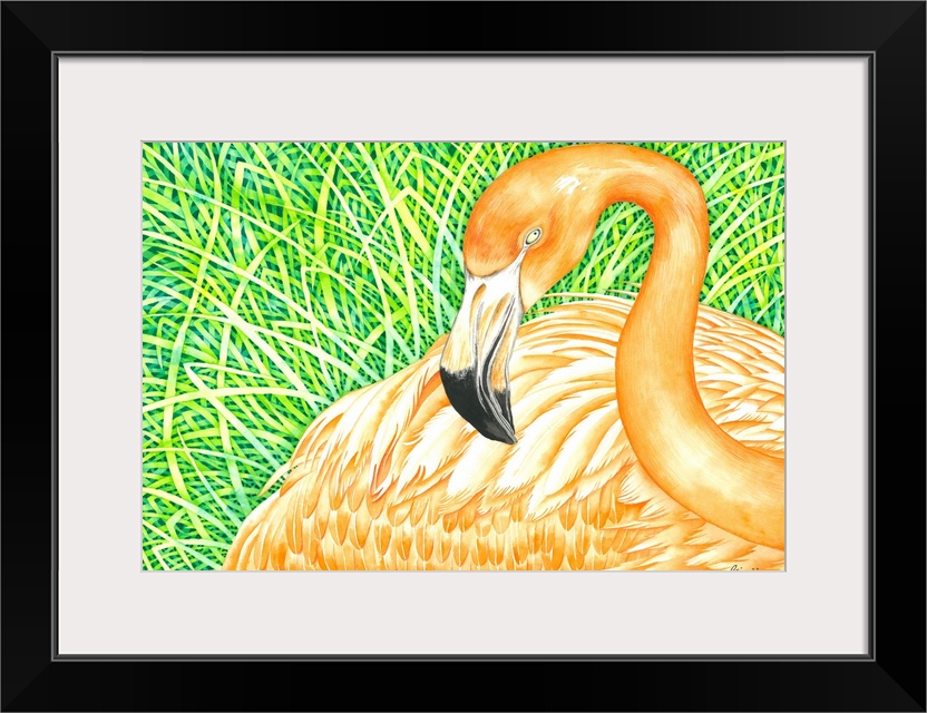 Orange flamingo bird is resting on the grass, tried to capture the summer colors in watercolor on paper.