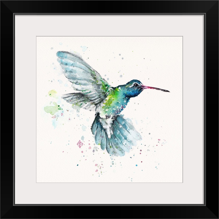 Hummingbird Flurry