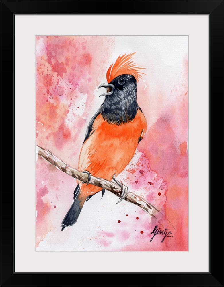 Orange is the color most easily seen in dim light; this bright orange bird is painted in watercolor on paper.