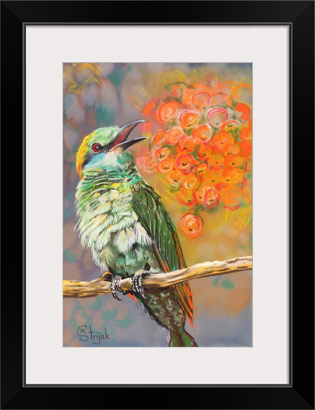 Bee-eaters are typically richly colored and this bird is no exception. Bright green plumage is particularly vibrant on the...