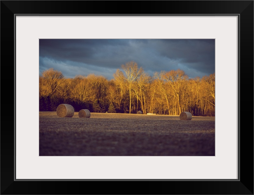 Morning Sun Over The Field With Hay Rolls