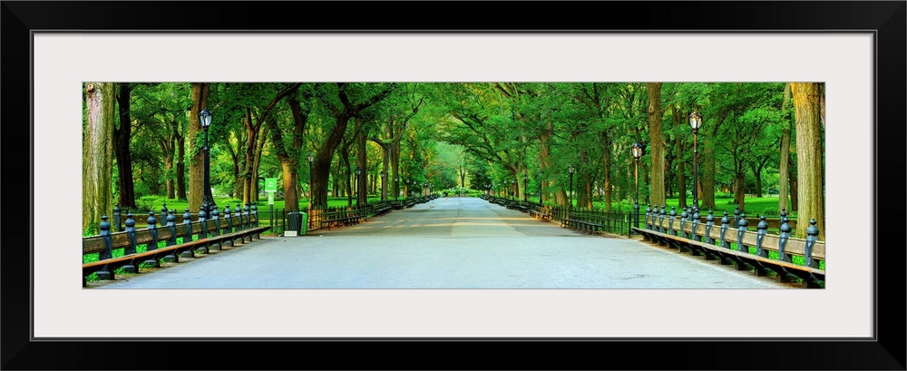 Panoramic View Of The Mall In Central Park