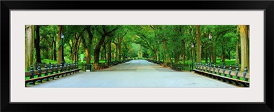 Panoramic View Of The Mall In Central Park