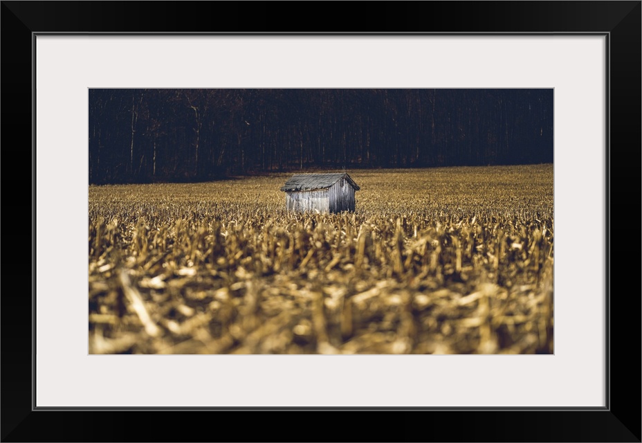 Small Shed In The Field