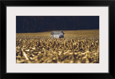 Small Shed In The Field