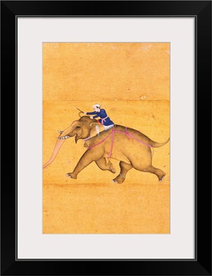 A Mahout riding an Elephant, from the Large Clive Album
