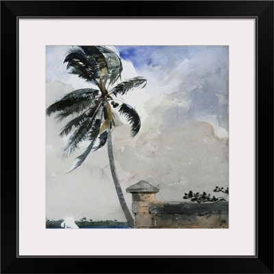 A Tropical Breeze, Nassau, 1889-90
