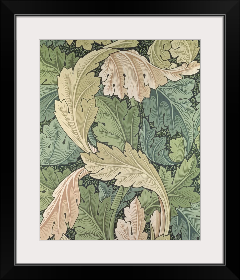 Acanthus