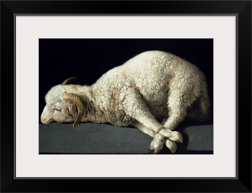 XIR154905 Agnus Dei, c.1635-40 (oil on canvas) by Zurbaran, Francisco de (1598-1664); Prado, Madrid, Spain; Spanish