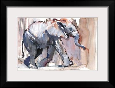 Baby elephant, 2012