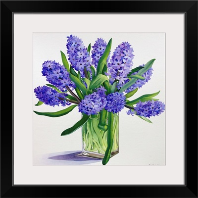 Blue Hyacinths