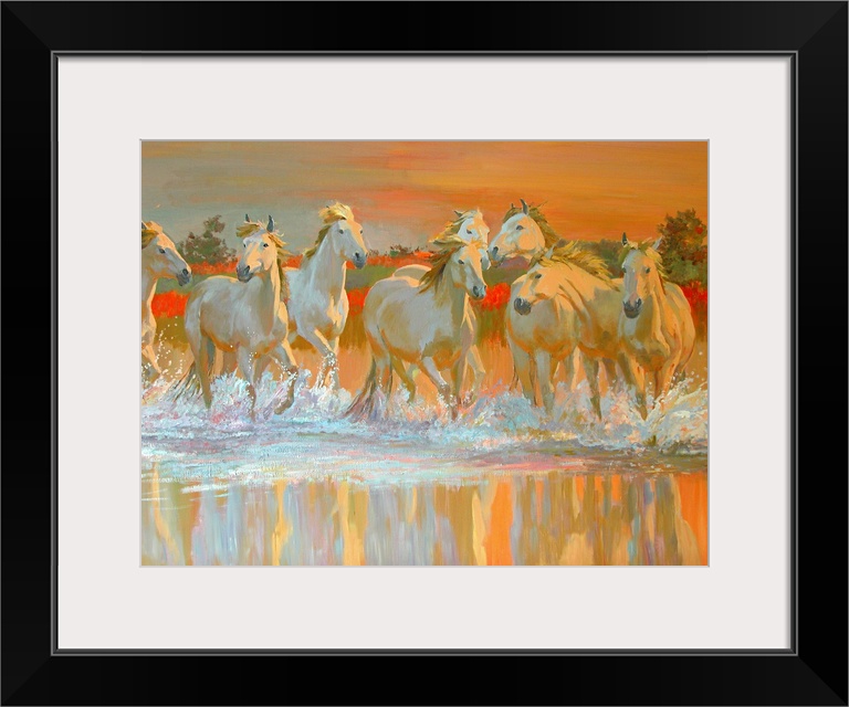 Landscape canvas wall art of wild, white horses galloping through water at sunset.