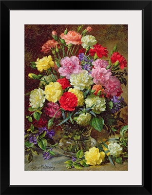 Carnations of Radiant Colours