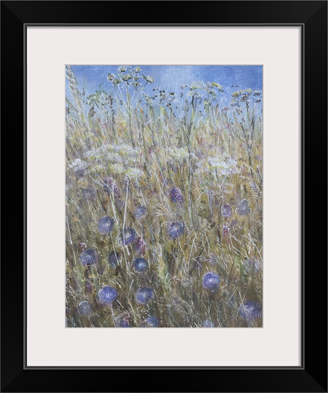 Cornflower I