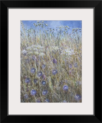 Cornflower I