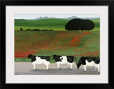 Cows and Poppies