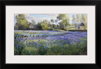 Dappled Light On The Iris Field, 1991