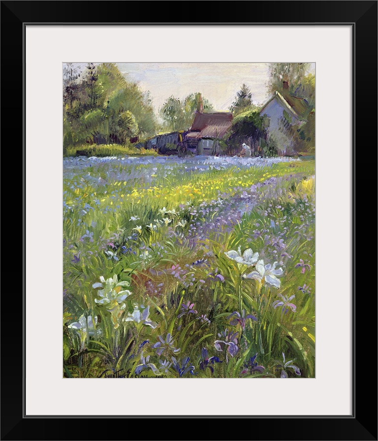 Dwarf Irises and Cottage, 1993
