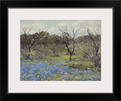 Early Spring Bluebonnets And Mesquite, 1919