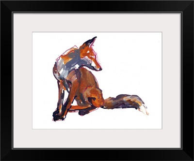 Elegant Youngster (Red Fox), 2021