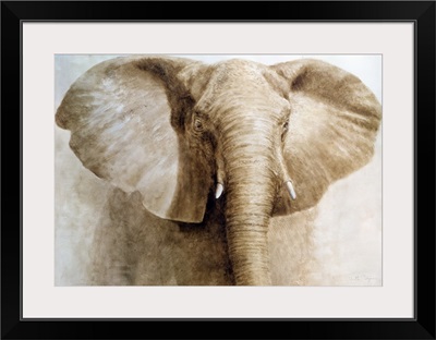 Elephant, 2004