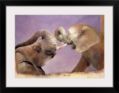 Elephants At Play, 2001