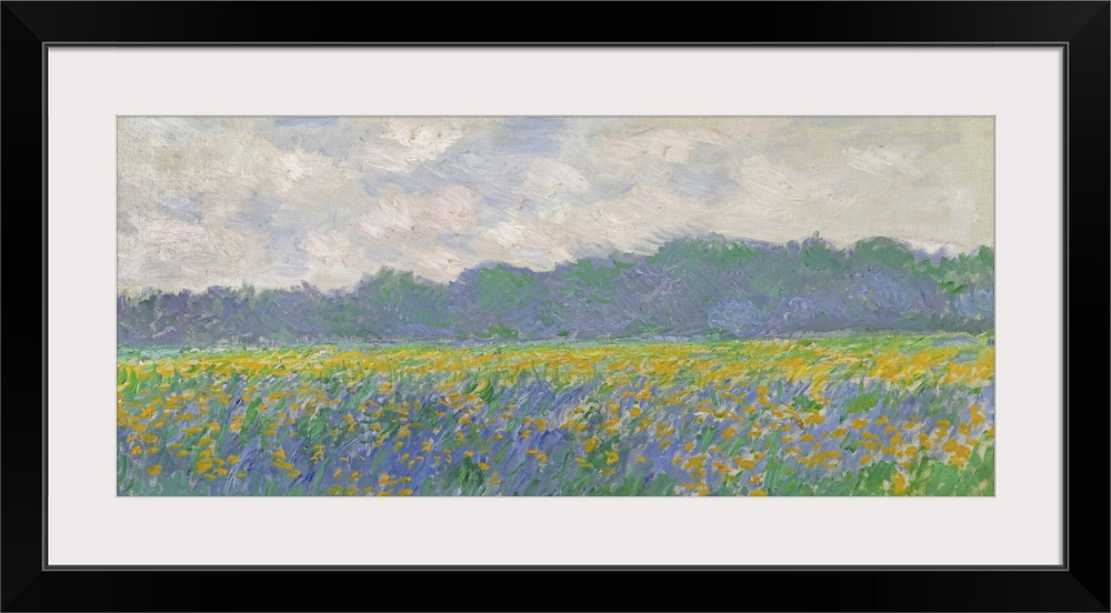 Field Of Yellow Irises At Giverny, 1887