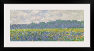 Field Of Yellow Irises At Giverny, 1887