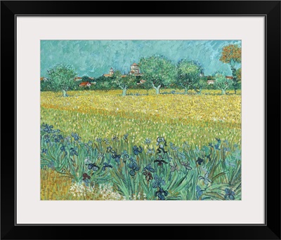 Field with Flowers near Arles, 1888