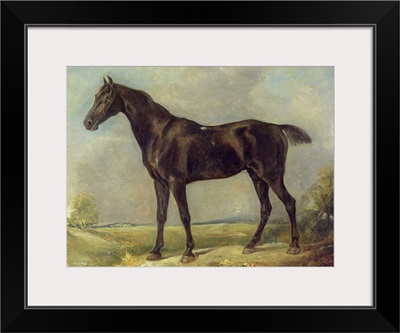 Golding Constable's Black Riding-Horse, c.1805-10