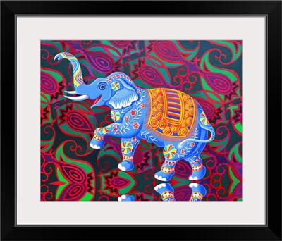 Indian Elephant, 2016