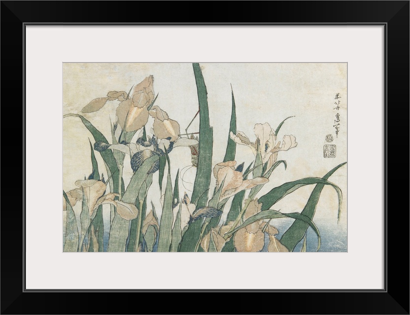 MNS622269 Iris Flowers and Grasshopper, c.1830-31 (colour woodblock print) by Hokusai, Katsushika (1760-1849); 24.2x36 cm;...