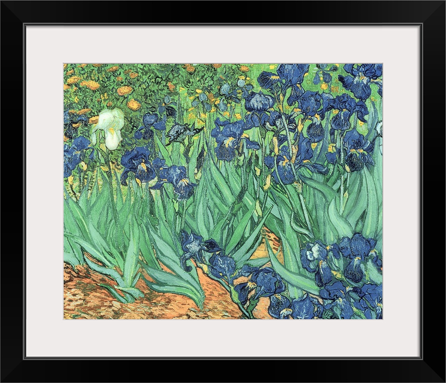 Variety of spring florals growing in a garden.