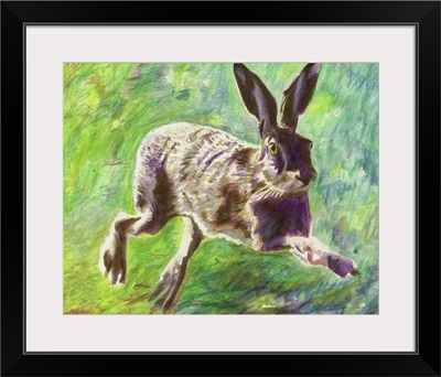 Joyful hare, 2011