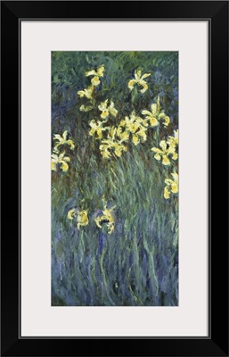 Les Iris Jaunes (Yellow Irises), 1914-17