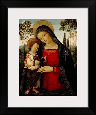 Madonna And Child, C1490-1495