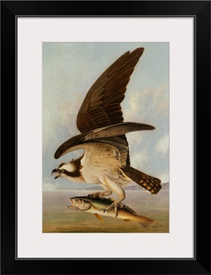 Osprey and Weakfish, 1829
