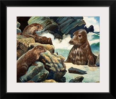 Otters and Walrus