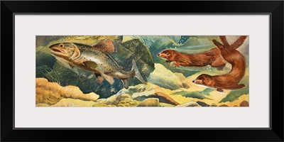 Otters chasing fish