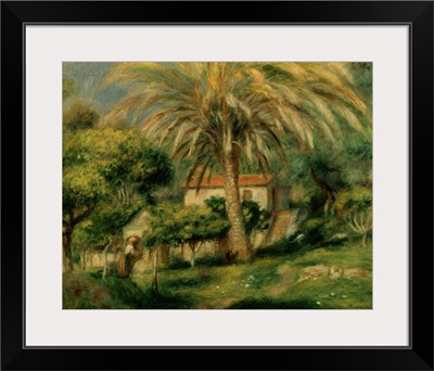 Palm Trees, 1902 (oil on canvas)